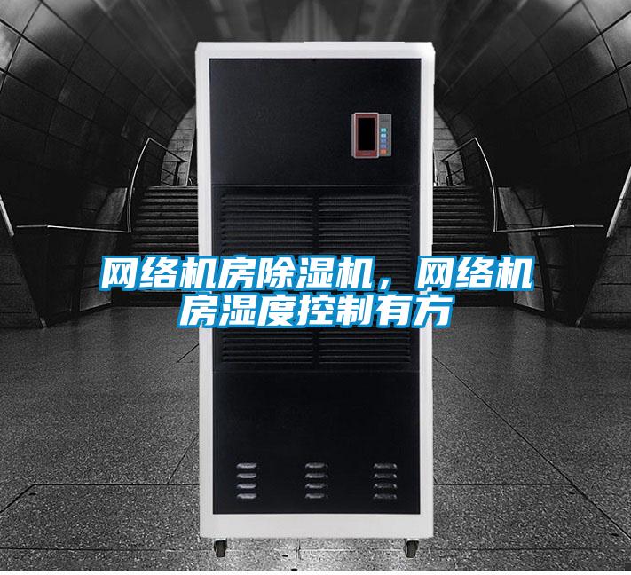 網(wǎng)絡(luò)機(jī)房除濕機(jī)，網(wǎng)絡(luò)機(jī)房濕度控制有方