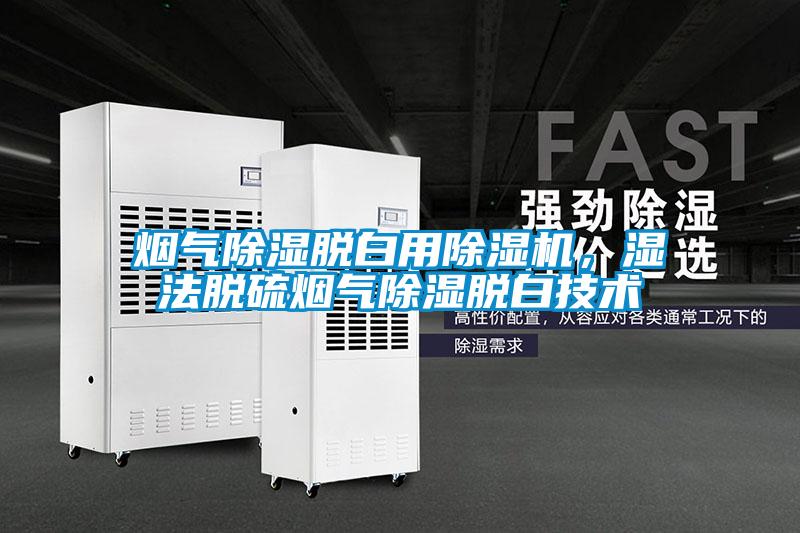 煙氣除濕脫白用除濕機(jī)，濕法脫硫煙氣除濕脫白技術(shù)
