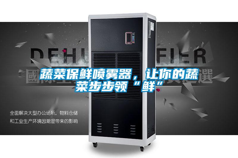 蔬菜保鮮噴霧器，讓你的蔬菜步步領(lǐng)“鮮”