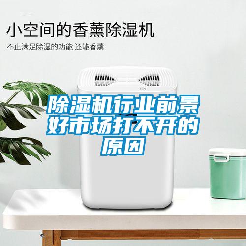 除濕機(jī)行業(yè)前景好市場(chǎng)打不開(kāi)的原因