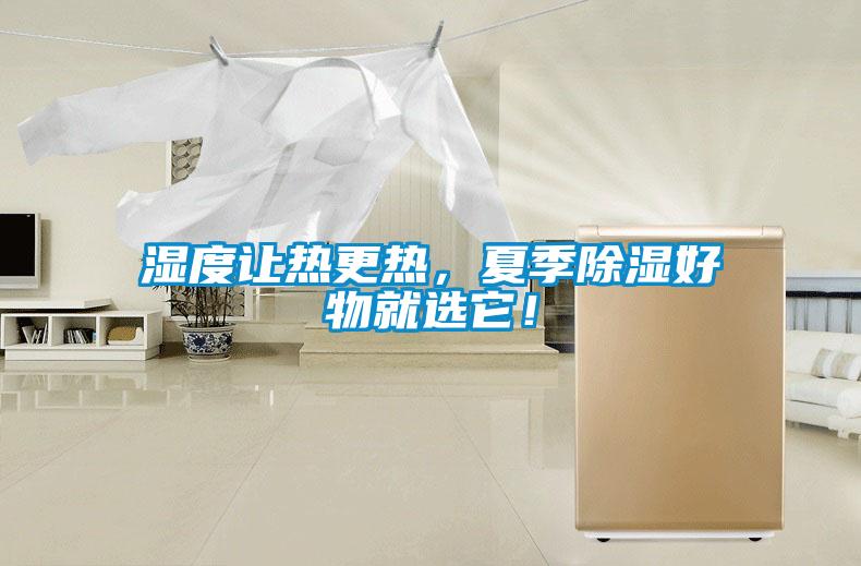 濕度讓熱更熱，夏季除濕好物就選它！