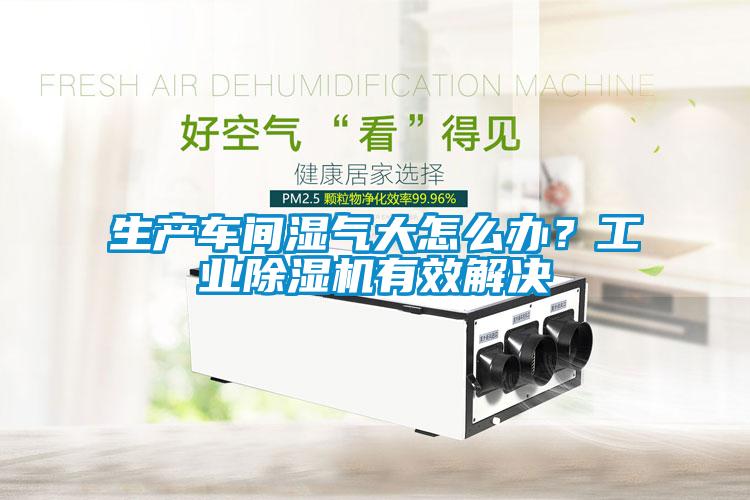 生產(chǎn)車間濕氣大怎么辦？工業(yè)除濕機有效解決