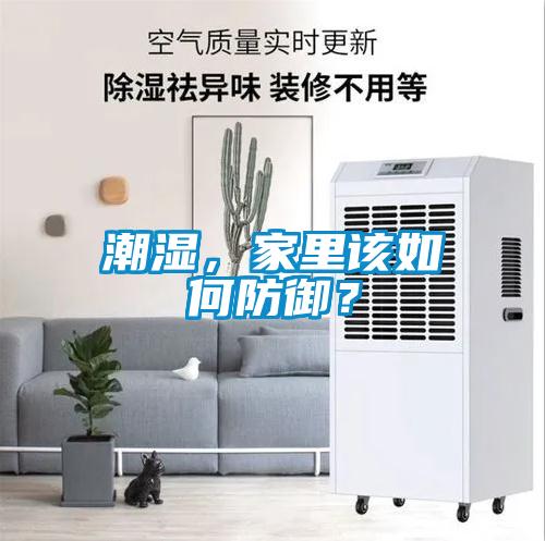 潮濕，家里該如何防御？