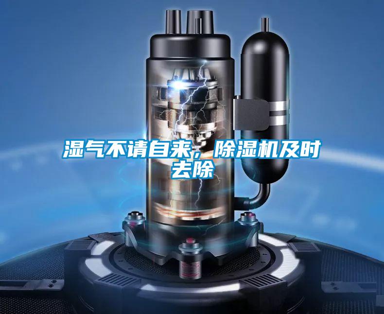 濕氣不請自來，除濕機及時去除