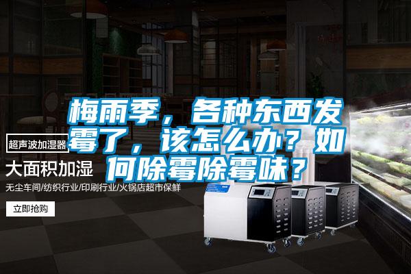 梅雨季，各種東西發(fā)霉了，該怎么辦？如何除霉除霉味？