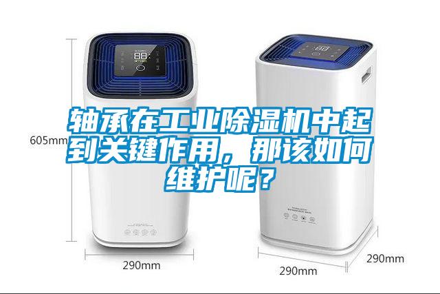 軸承在工業(yè)除濕機中起到關(guān)鍵作用，那該如何維護呢？