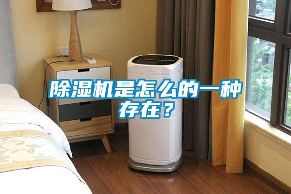 除濕機(jī)是怎么的一種存在？