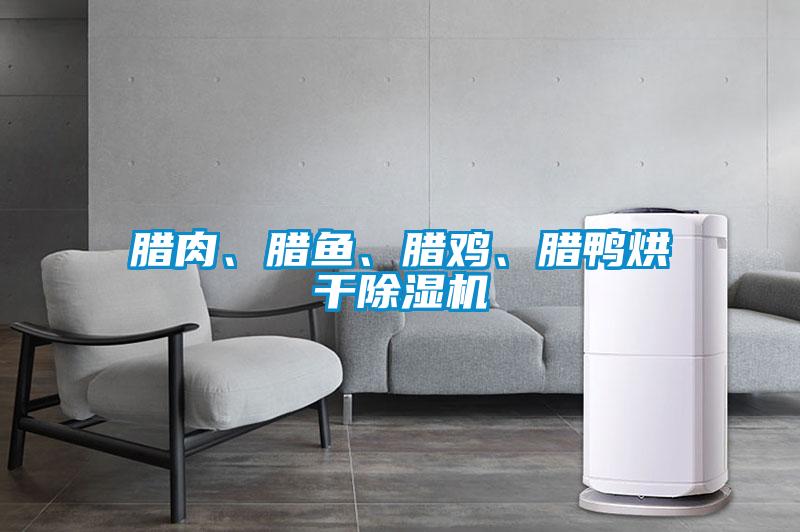 臘肉、臘魚、臘雞、臘鴨烘干除濕機