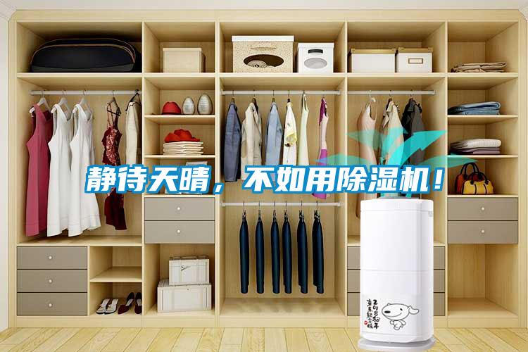 靜待天晴，不如用除濕機(jī)！