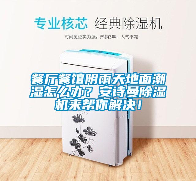餐廳餐館陰雨天地面潮濕怎么辦？安詩曼除濕機(jī)來幫你解決！