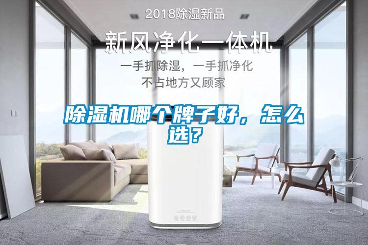 除濕機(jī)哪個(gè)牌子好，怎么選？