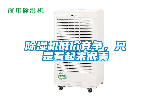 除濕機(jī)低價(jià)競(jìng)爭(zhēng)，只是看起來(lái)很美