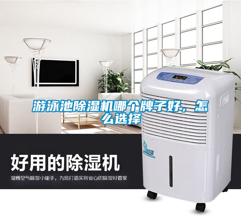 游泳池除濕機(jī)哪個(gè)牌子好，怎么選擇