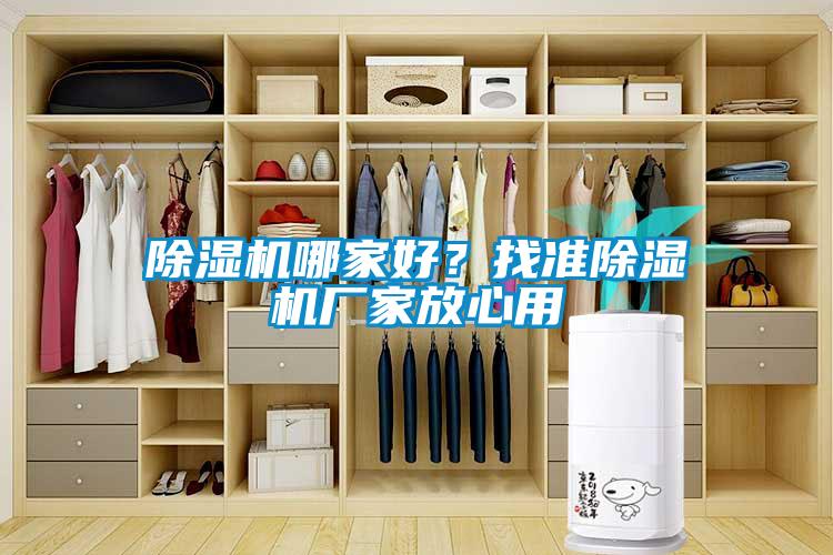 除濕機哪家好？找準除濕機廠家放心用