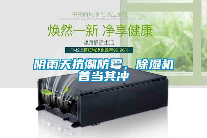 陰雨天抗潮防霉，除濕機首當其沖