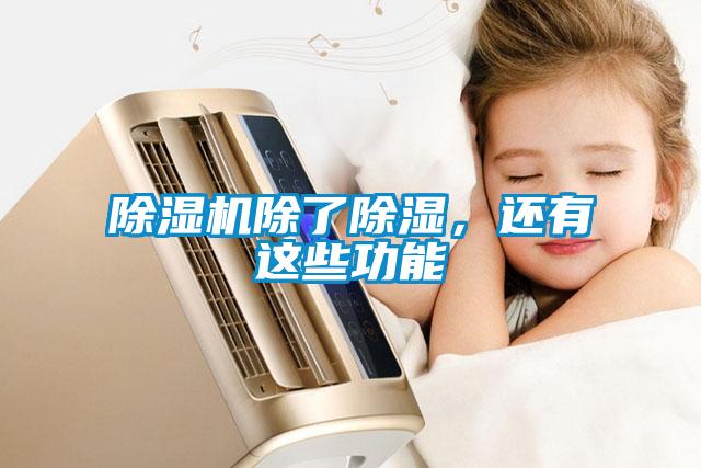 除濕機除了除濕，還有這些功能