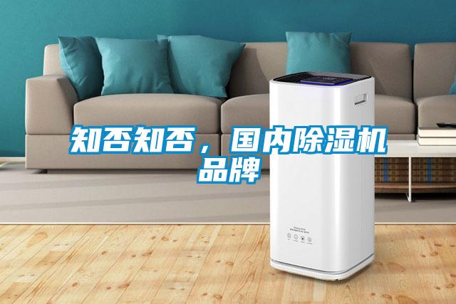 知否知否，國(guó)內(nèi)除濕機(jī)品牌