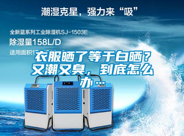 衣服曬了等于白曬？又潮又臭，到底怎么辦…