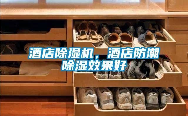 酒店除濕機(jī)，酒店防潮除濕效果好