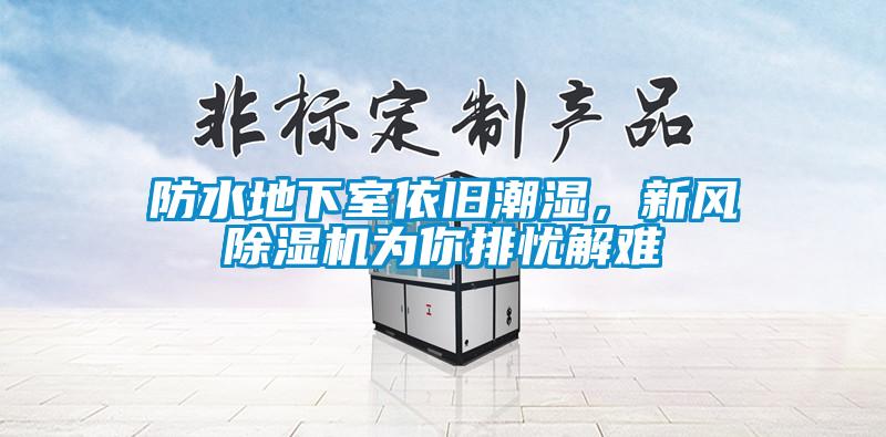 防水地下室依舊潮濕，新風(fēng)除濕機(jī)為你排憂解難