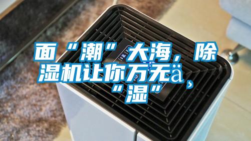 面“潮”大海，除濕機(jī)讓你萬無一“濕”