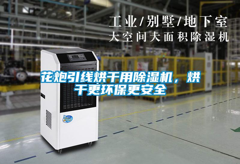 花炮引線烘干用除濕機(jī)，烘干更環(huán)保更安全