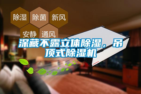 深藏不露立體除濕，吊頂式除濕機