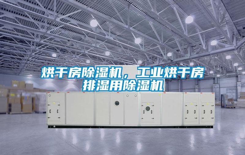 烘干房除濕機(jī)，工業(yè)烘干房排濕用除濕機(jī)