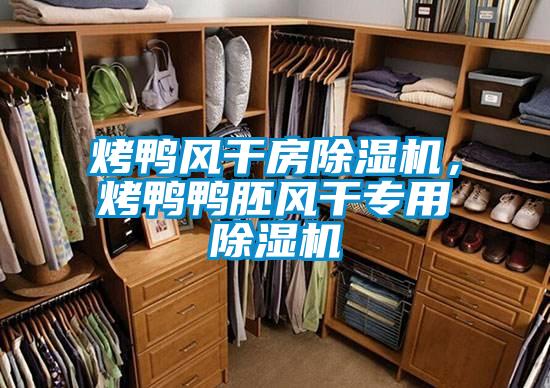 烤鴨風(fēng)干房除濕機，烤鴨鴨胚風(fēng)干專用除濕機