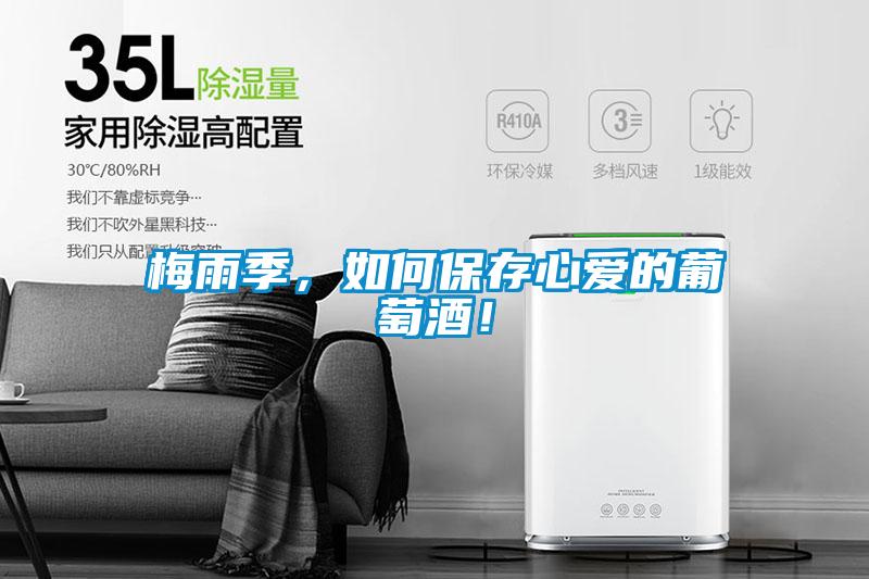梅雨季，如何保存心愛的葡萄酒！