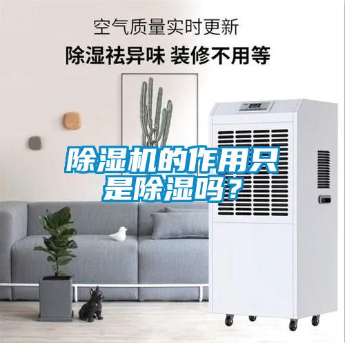 除濕機的作用只是除濕嗎？