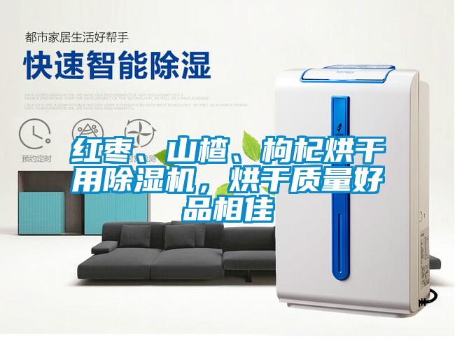 紅棗、山楂、枸杞烘干用除濕機，烘干質量好品相佳