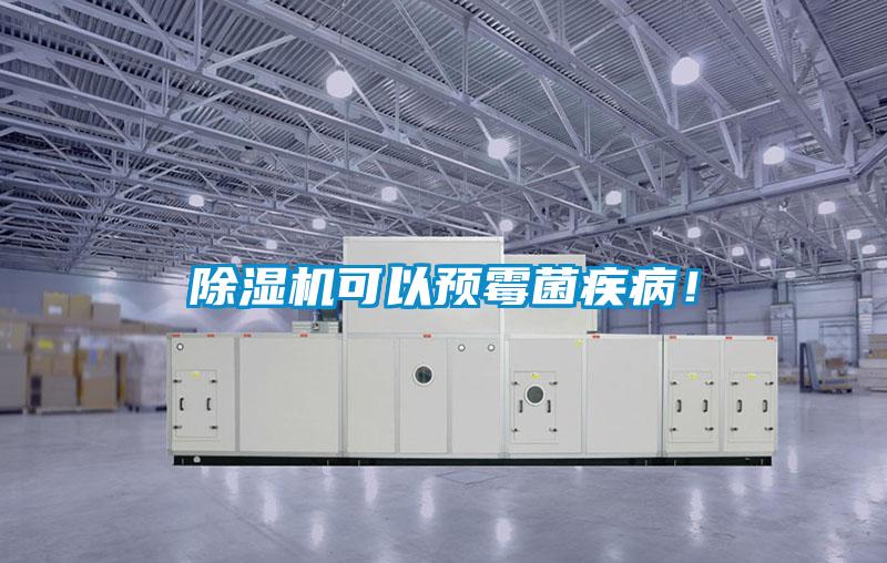 除濕機(jī)可以預(yù)霉菌疾??！