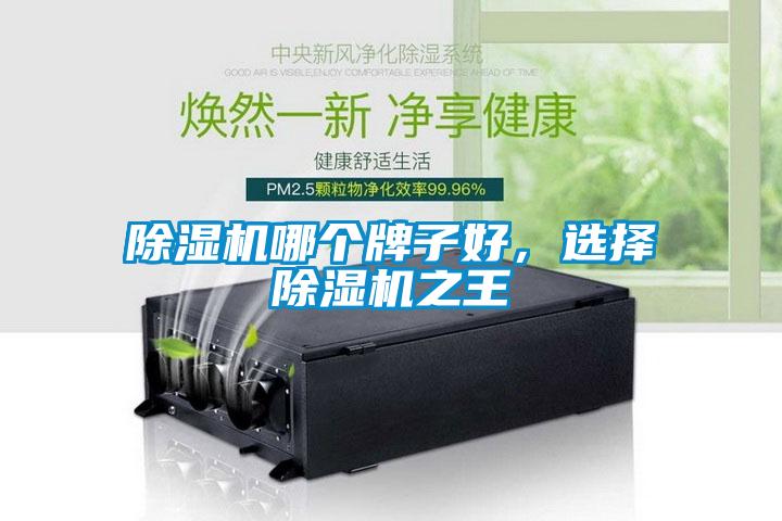 除濕機(jī)哪個牌子好，選擇除濕機(jī)之王
