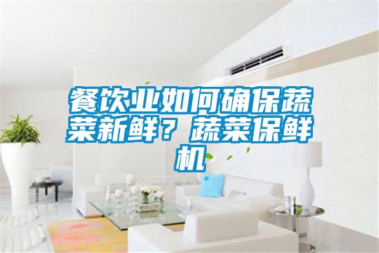 餐飲業(yè)如何確保蔬菜新鮮？蔬菜保鮮機