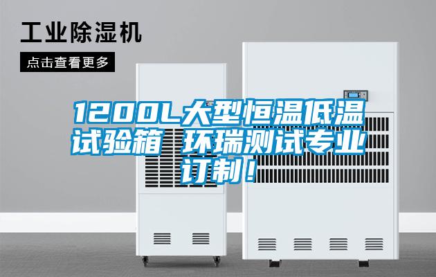 1200L大型恒溫低溫試驗箱 環(huán)瑞測試專業(yè)訂制！