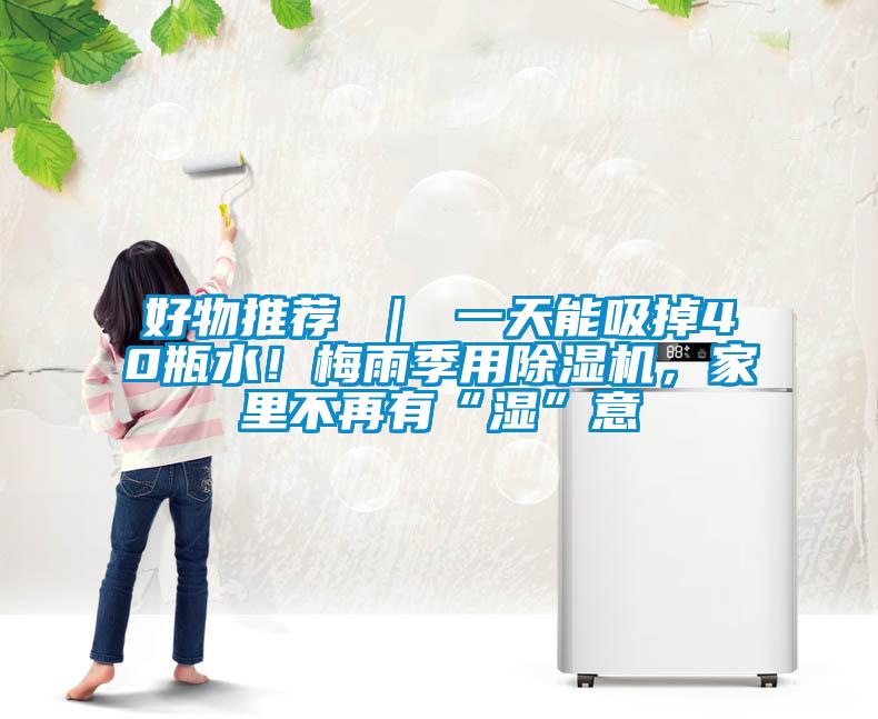 好物推薦 ｜ 一天能吸掉40瓶水！梅雨季用除濕機，家里不再有“濕”意