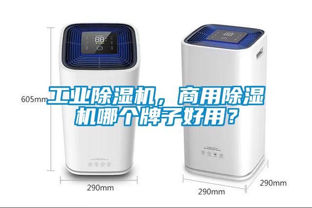 工業(yè)除濕機，商用除濕機哪個牌子好用？