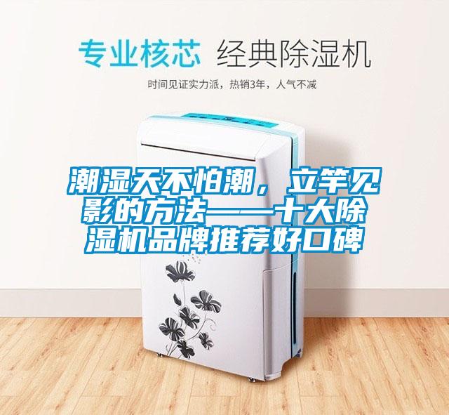 潮濕天不怕潮，立竿見影的方法——十大除濕機品牌推薦好口碑