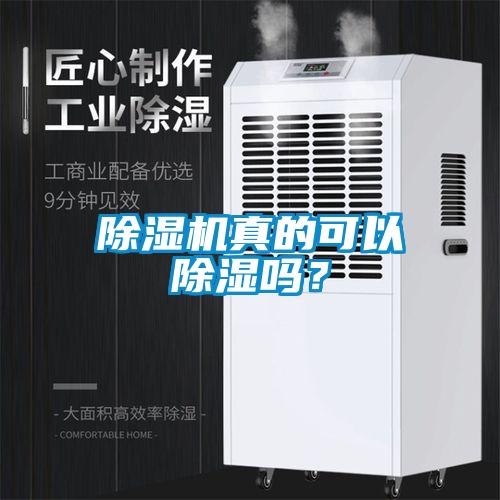 除濕機真的可以除濕嗎？