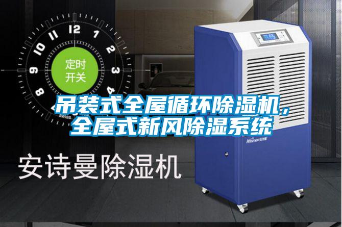 吊裝式全屋循環(huán)除濕機，全屋式新風除濕系統(tǒng)
