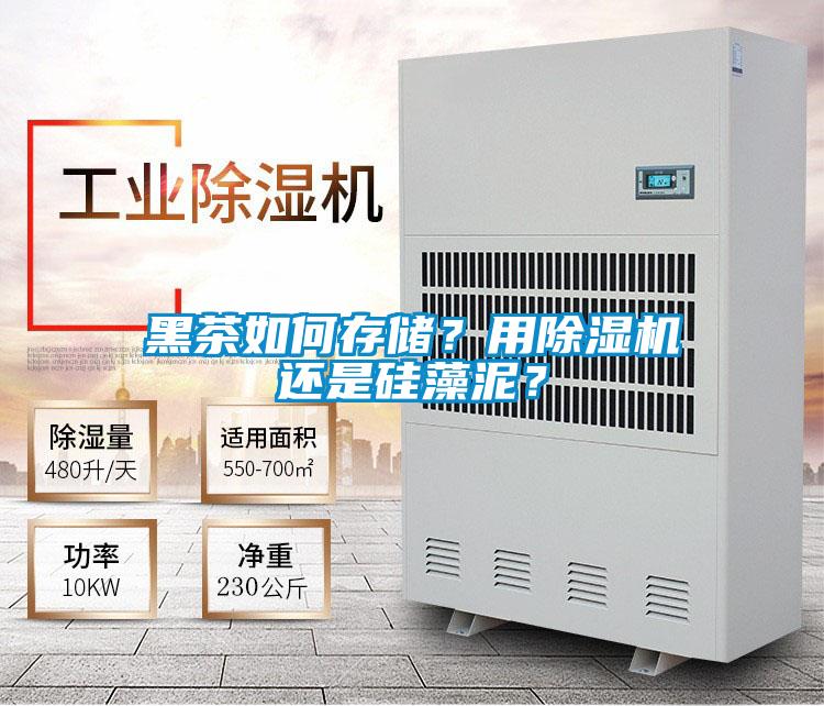 黑茶如何存儲？用除濕機(jī)還是硅藻泥？