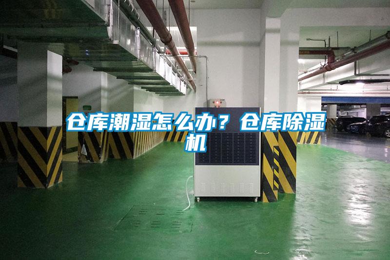 倉庫潮濕怎么辦？倉庫除濕機(jī)