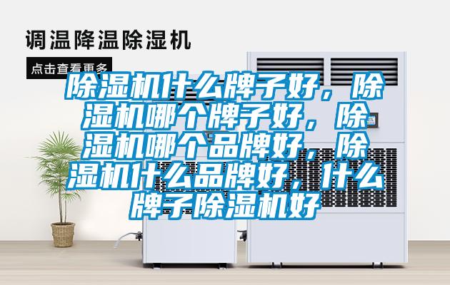 除濕機(jī)什么牌子好，除濕機(jī)哪個(gè)牌子好，除濕機(jī)哪個(gè)品牌好，除濕機(jī)什么品牌好，什么牌子除濕機(jī)好