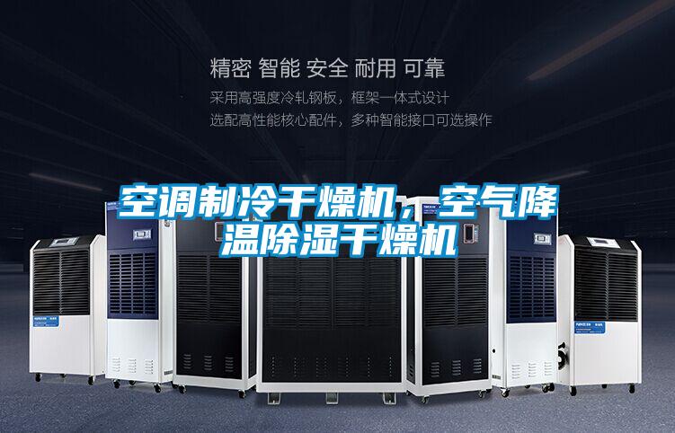 空調(diào)制冷干燥機，空氣降溫除濕干燥機