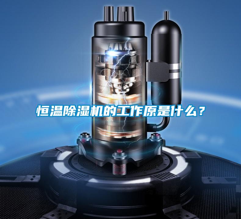 恒溫除濕機的工作原是什么？