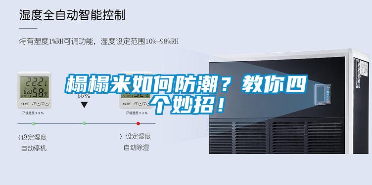 榻榻米如何防潮？教你四個妙招！