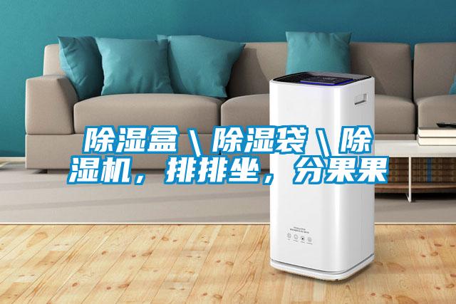 除濕盒＼除濕袋＼除濕機，排排坐，分果果