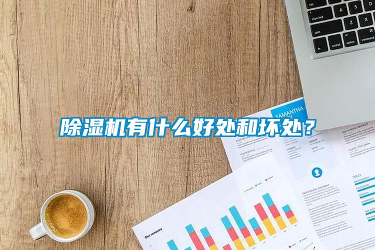 除濕機(jī)有什么好處和壞處？