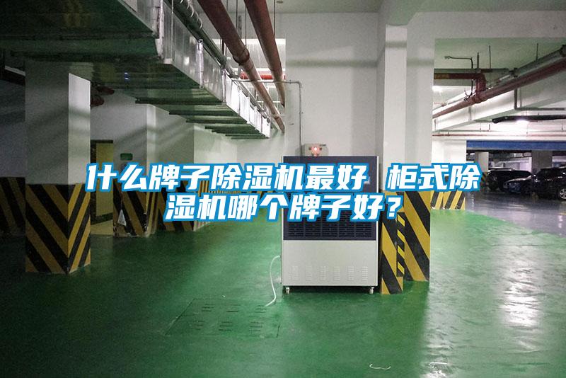 什么牌子除濕機(jī)最好 柜式除濕機(jī)哪個(gè)牌子好？